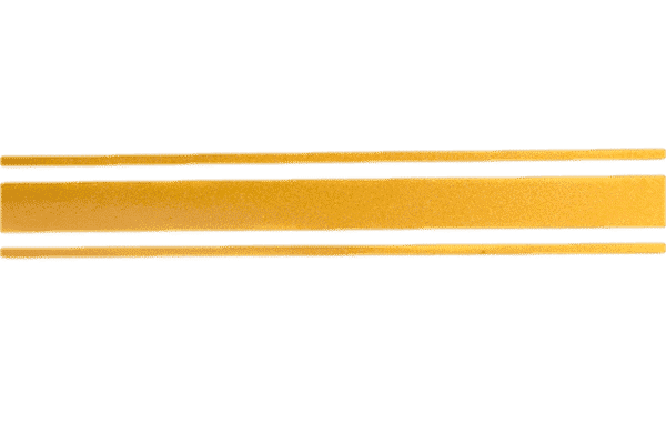 Decal, Gold Stripping