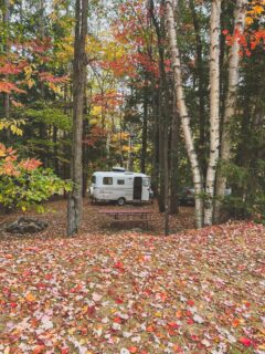 Tucked away in the trees—just you, your Scamp, and a quiet campsite.
----
📸: Nona B.