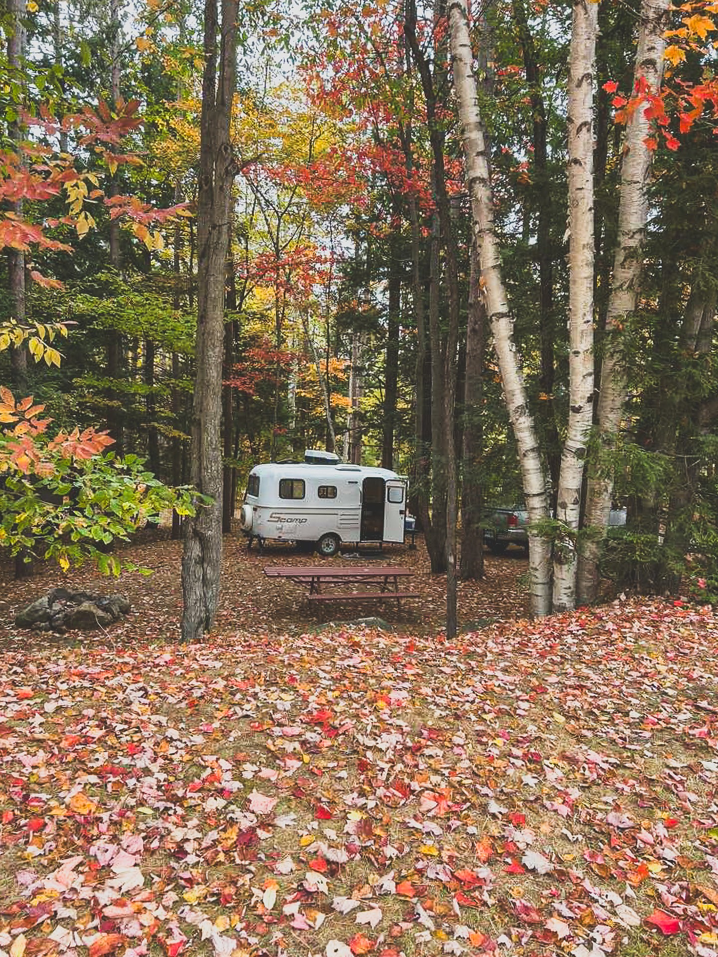Tucked away in the trees—just you, your Scamp, and a quiet campsite.
----
📸: Nona B.