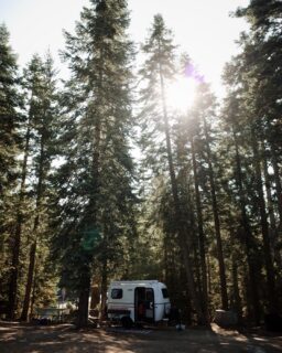 A little further down the road, a new view, and a place to stay awhile.

From weekend getaways to cross-country road trips, Scamp makes it easier to bring a little comfort along for the ride.
----
📸: Raisa M.